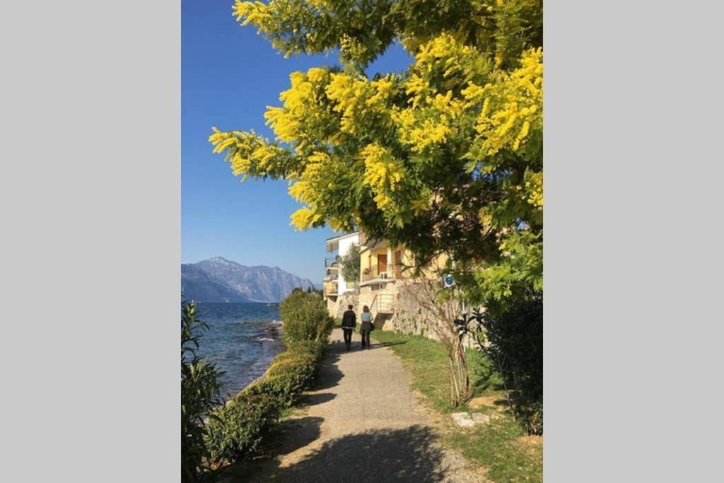 Villa Francesca-Grande Appartamento In Riva Al Lago برنزوني سول جاردا المظهر الخارجي الصورة